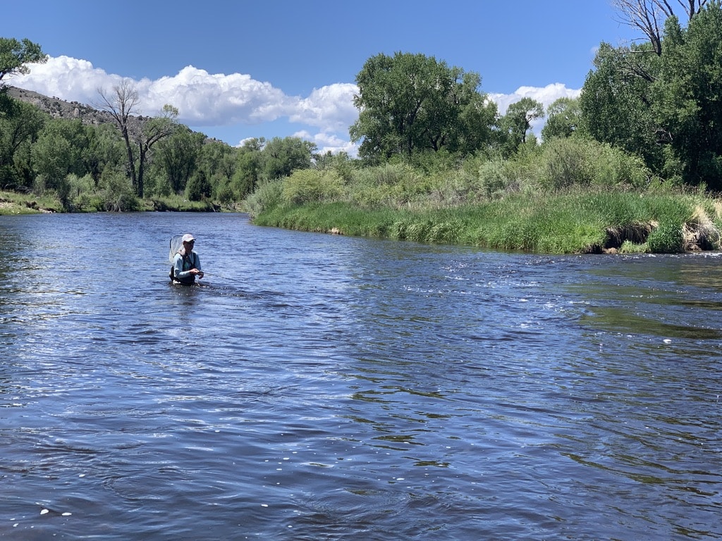 An angler wades in the middle of a river in Colorado, fly fishing with streamers