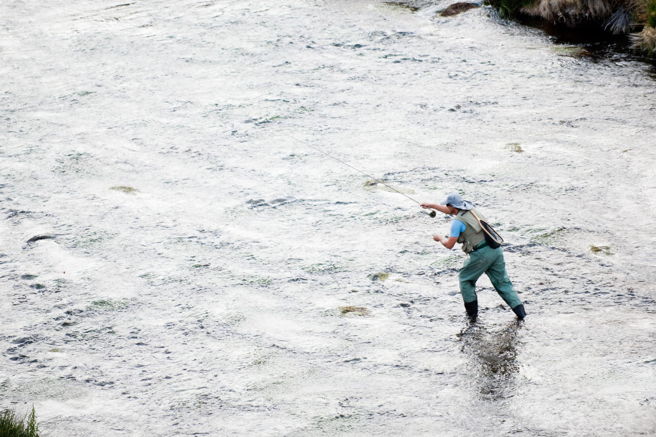 Fly Fishing for Beginners