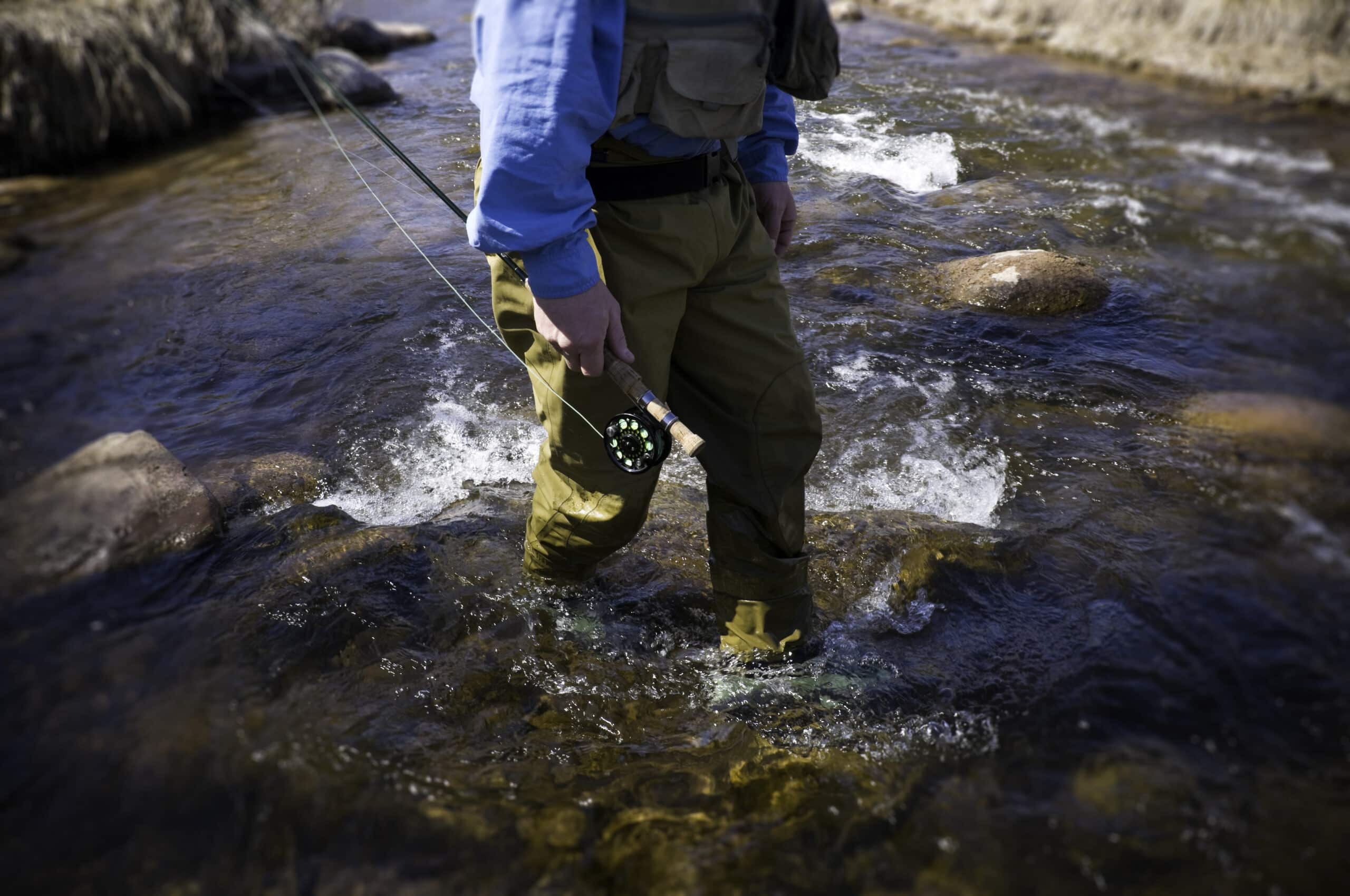 Tailwater or Freestone, What’s the Difference?