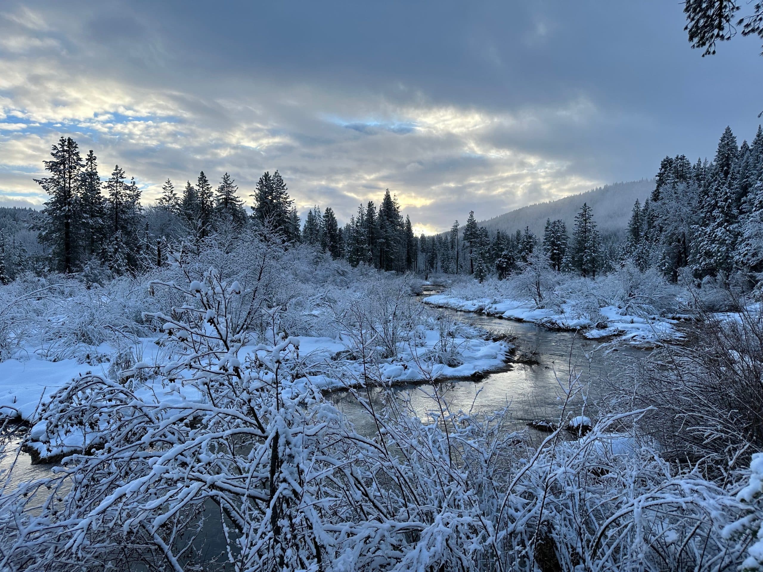 Winter Fly Fishing with RareWaters