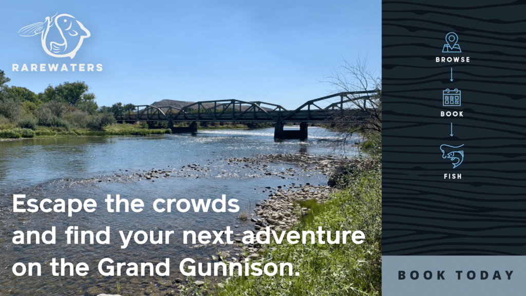 Beautiful private water fly fishing in Grand Gunnison River Ranch in Austin, Colorado