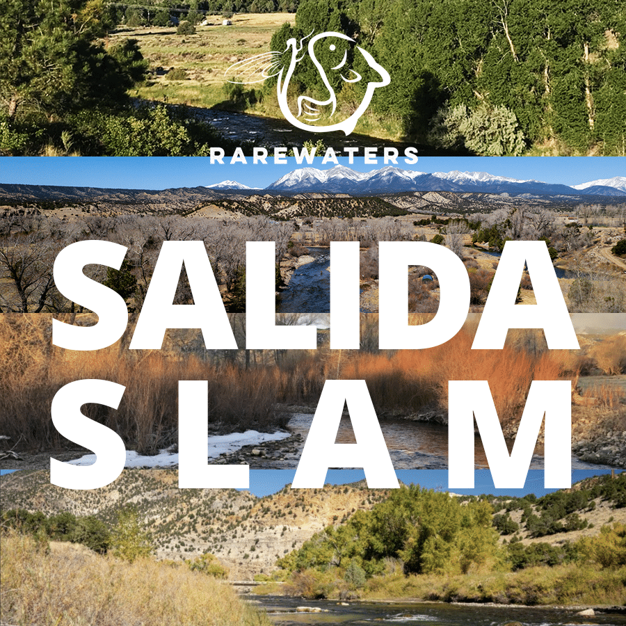 Introducing the Salida Slam