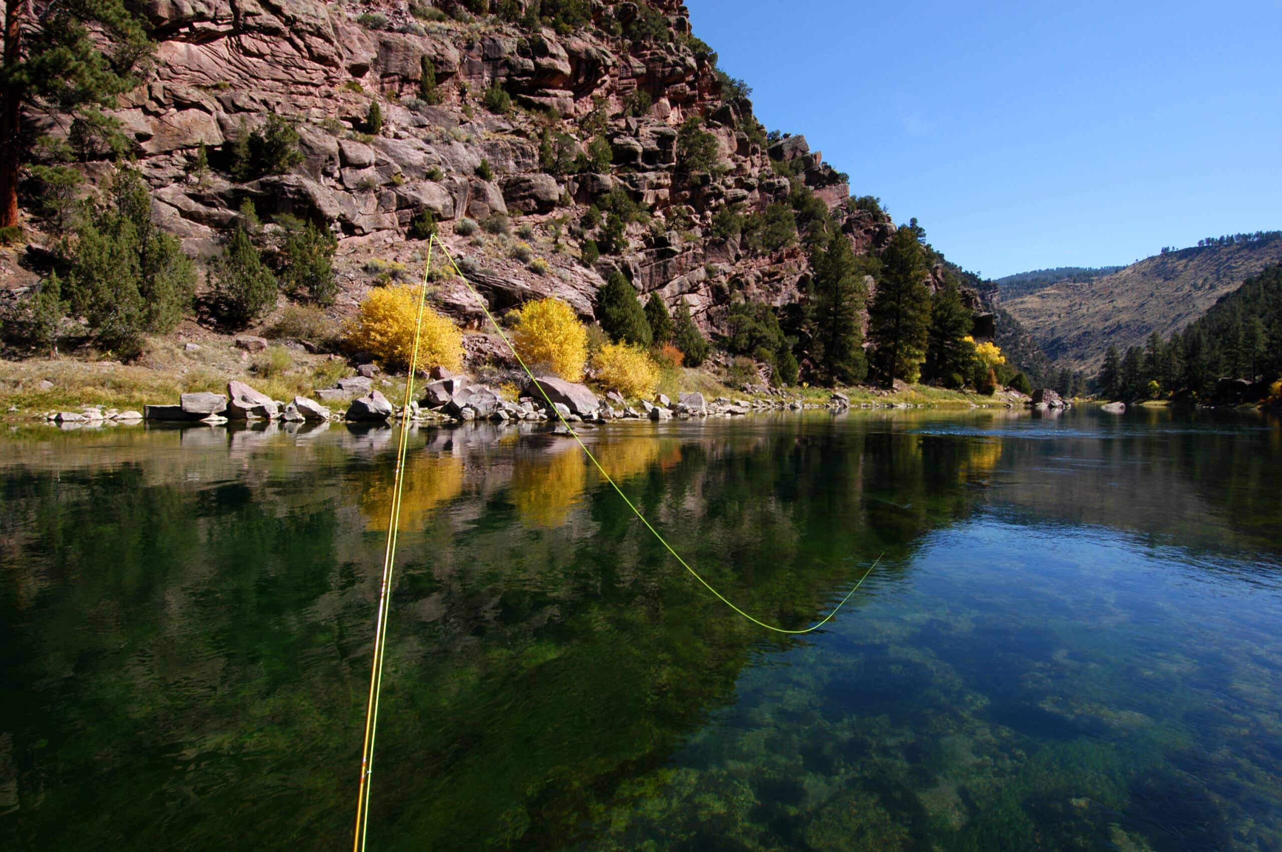 All About Fly Line Weights